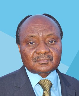 H.E. Ufrosia S.R. Mlay - Ambassador